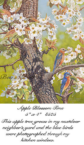 Apple Blossom Time 70 dpi