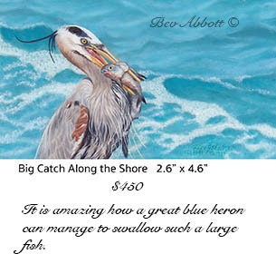Big Catch Along the Shore 65dpi