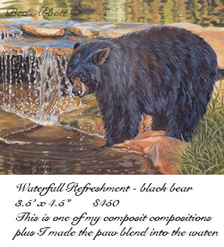 Black Bear by Stream 70dpi