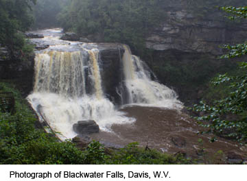 Blackwater Falls