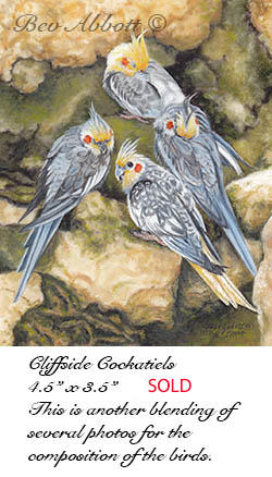 Cliftside Cockatiels 70 dpi