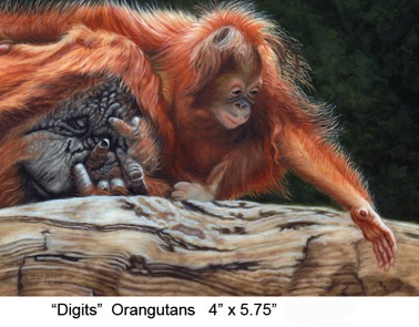 Digits titled