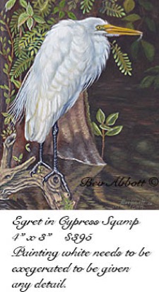 Egret in the Cypress Swamp 70dpi