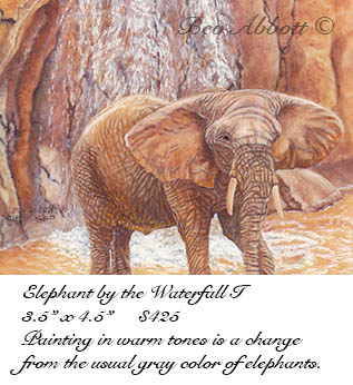Elephant by the Waterfall I 70 dpi