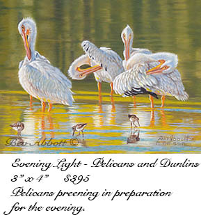 Evening Light 70 dpi