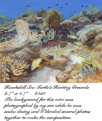 Hawksbill Sea Turtle&#39;s Hunting Grounds 70dpi