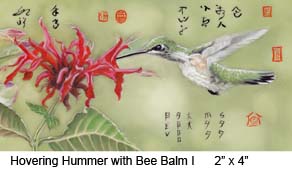 Hovering Hummer with Bee Balm I c