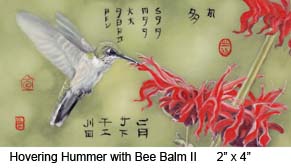 Hovering Hummer with Bee Balm II c