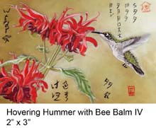 Hovering Hummer with Bee Balm IV c