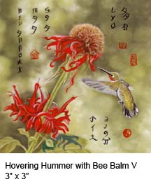 Hovering Hummer with Bee Balm V c