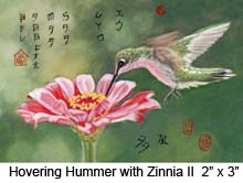 Hovering Hummer with Zinnia II c