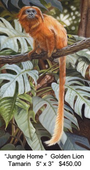 Jungle Home titled
