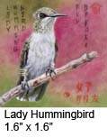 Lady Hummingbird 1.6 x 1.6 c