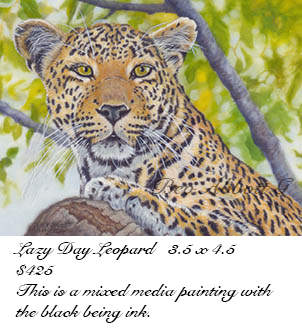 Lazy Day Leopard 70 dpi