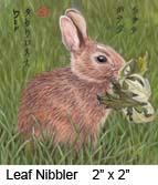 Leaf Nibbler c