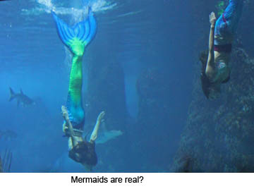 Mermaids