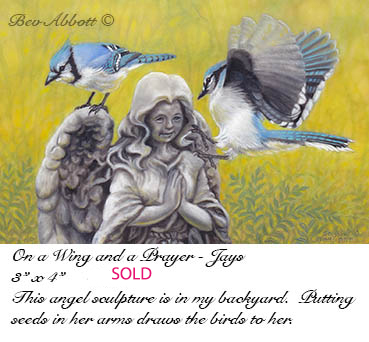 On a Wing and a Prayer Jays70 dpi
