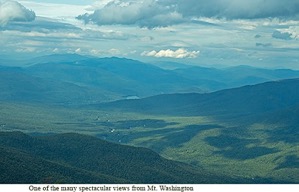 Pasted Graphic 3