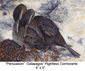 Persuasion - Flightless Cormorants  titled