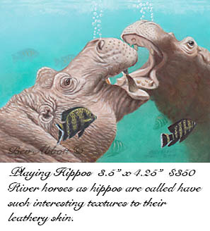 Playing Hippos 70dpi