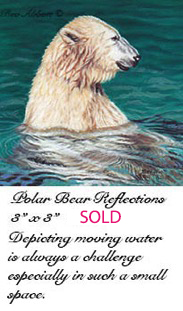 Polar Bear Reflections 70 dpi