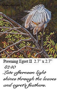 Preening Egret II 70dpi