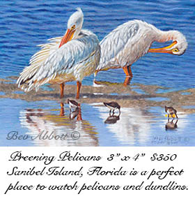 Preening Pelicans 70dpi