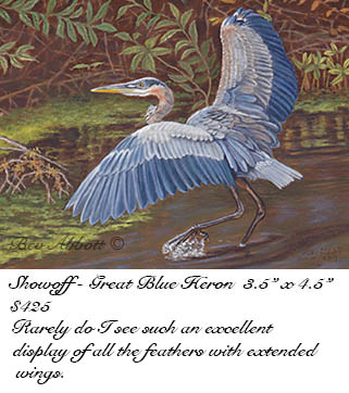 Showoff 70 dpi