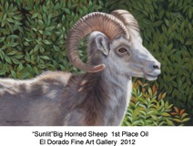 Sunlit Big Horn Sheep titled
