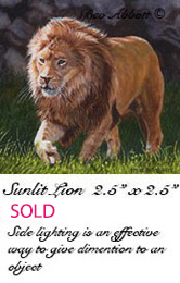 Sunlit Lion 70dpi