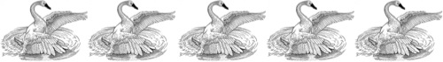 Swan Logo 5 tiny