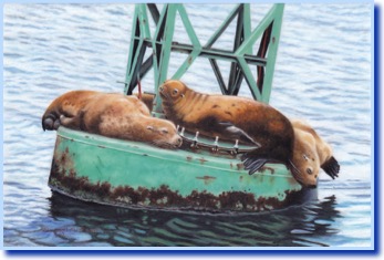 The Buoy&#39;s Club II