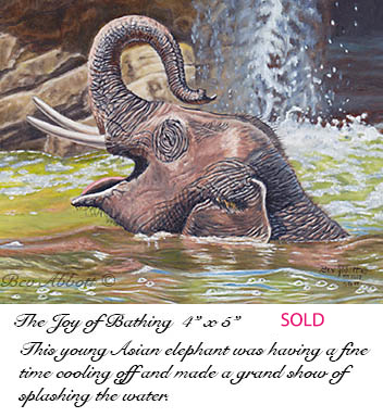 The Joy of Bathing 70dpi
