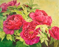 Web Fuchsia Peonies 6x8 70dpi Sig