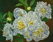 Web White Peonies 6x8 70dpi Sig
