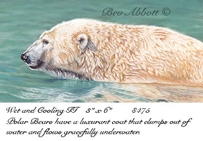 Wet and Cooling II 70 dpi